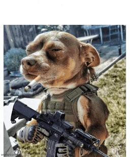 Oh no it's retarded! Meme Generator